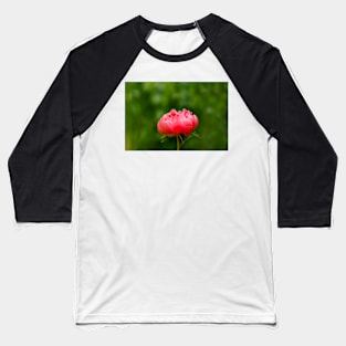 Peach peony flower Baseball T-Shirt